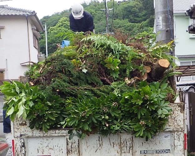 阪南市緑が丘：空き家屋雑木等処理作業